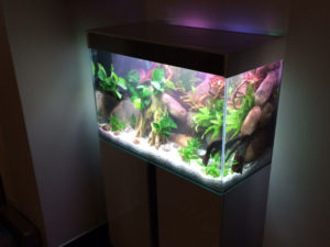 aquarium-villasenor